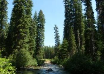 Main Eagle Creek