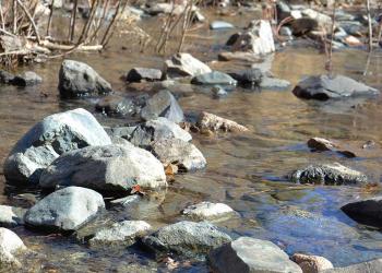 Rocks in a stream