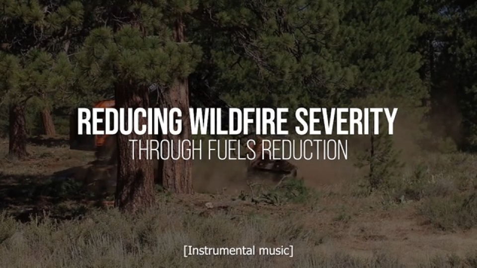 Thumbnail for video titled: Reducing wildfire severity through fuels reduction