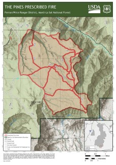 2025 Pines RX Burn Map