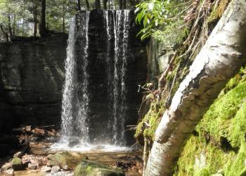 Hector Falls
