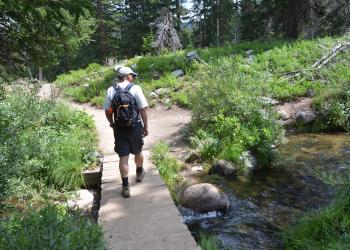 a hiker walking across a small creek on a boardwalk in the forest