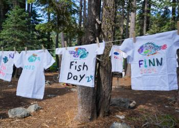Hand painted fish shirts on a clothesline. 