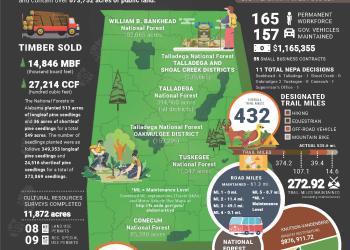 Forest Accomplishments - Infographics
